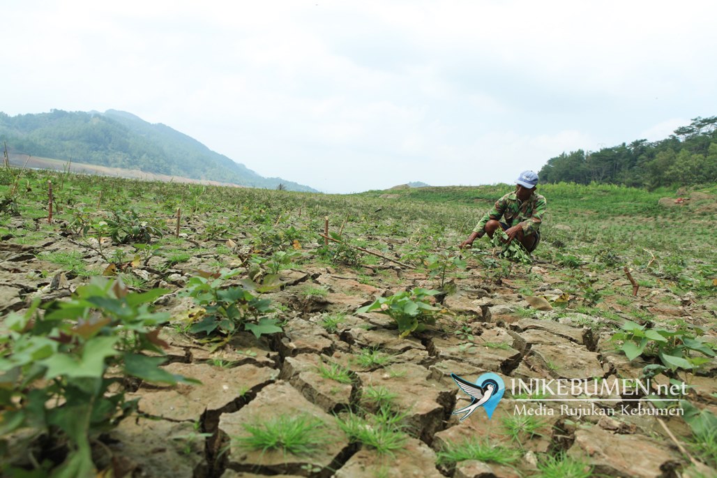 Hujan Tak Kunjung Turun, Volume Air Waduk Sempor Susut Hingga 96 Persen