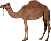 <imgsrc="http://udinikkara.blogspot.com/image.png" alt="camel" … />