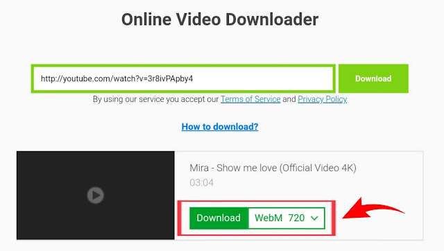How to download videos from Sovefrom.net, download YouTube video website