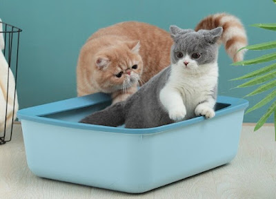 What Is The Most Hygienic Material For a Litter Box?