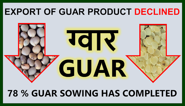 Export of guar products has declined by 5.5%, Guar, guar gum, guar price, guar gum price, guar demand, guar gum demand, guar seed production, guar seed stock, guar seed consumption, guar gum cultivation, guar gum cultivation in india, Guar gum farming, guar gum export from india , guar seed export, guar gum export, guar gum farming, guar gum cultivation consultancy, today guar price, today guar gum price, ग्वार, ग्वार गम, ग्वार मांग, ग्वार गम निर्यात 2018-2019, ग्वार गम निर्यात -2019, ग्वार उत्पादन, ग्वार कीमत, ग्वार गम मांग, Guar Gum, Guar seed, guar , guar gum, guar gum export from india, guar gum export to USA, guar demand USA, guar future price, guar future demand, guar production 2019, guar gum demand 2019, guar, guar gum, cluster beans, guar gum powder, guar gum price, guar gum uses, ncdex guar, guar price, guar gum price today, cyamopsis tetragonoloba, ncdex guar gum price, guar beans, guar rate today