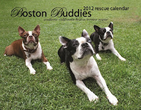 2012 Bston Buddies Rescue Calendar