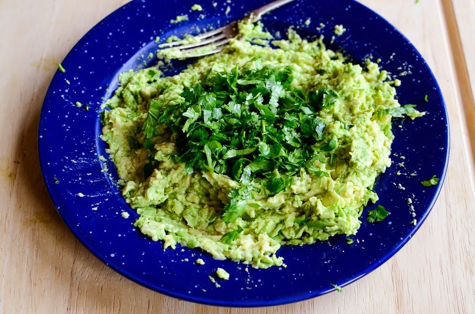 guacamole and chips-15598