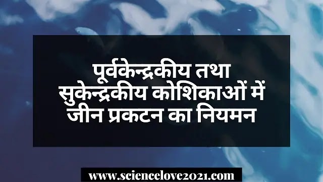 पूर्वकेन्द्रकीय तथा सुकेन्द्रकीय कोशिकाओं में जीन प्रकटन का नियमन|hindi