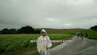 Pengalaman ke Hitachi Seaside Park Tokyo Jepun