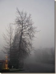 DSCN2088