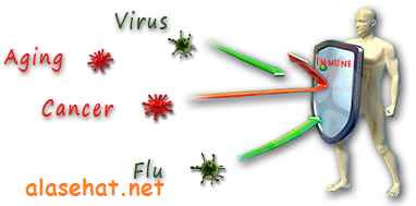 meningkatkan sistem imun