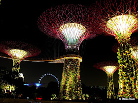 BOSQUE ARTIFICIAL. SINGAPUR