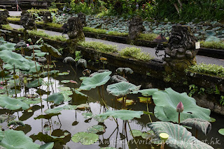 cafe lotus, 峇里, bali, ubud