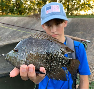 Stavros Cotsoradis, Year of the Rio, YOTRio2021, Rio Grande Cichlid, Rio Grande Cichlid on the Fly, Fly Fishing for Rio Grande Cichlid, Fly Fishing Texas, Texas Fly Fishing, Texas Freshwater Fly Fishing, TFFF