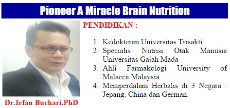 Brainking Plus Irfan Bukhari