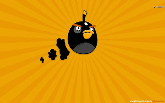 #24 Angry Birds Wallpaper