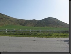 IMG_1899_thumb