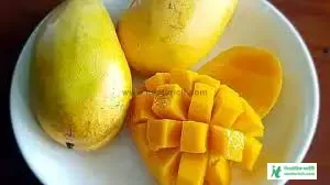 আমের ছবি ডাউনলোড - কাঁচা আমের পিকচার, পিক - mango pic - NeotericIT.com - Image no 20