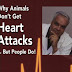 Why Animals Don't Get Heart Attacks. . . But People Do by Matthias, M. D. Rath (2003-01-01) Paperback – January 1, 1656 PDF