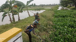 Polsek Jatibarang Gotong Royong Bersihkan Saluran Air Sungai Sojar, Ini Tujuannya