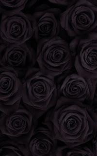 The Meaning Of A Black Rose Can Vary Depending On The Context And The Person Giving Or Receiving It
