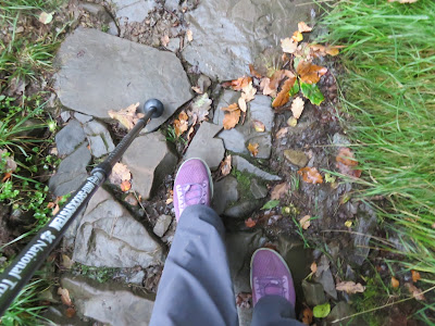 Trekking pole and wet shoes