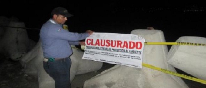 Estados/Clausura Profepa muelle por construirse   en ecosistema costero en Acapulco