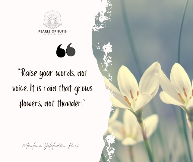 "Raise your words, not voice. It is rain that grows flowers, not thunder." - Maulana Rumi