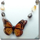 Dimensional Butterfly