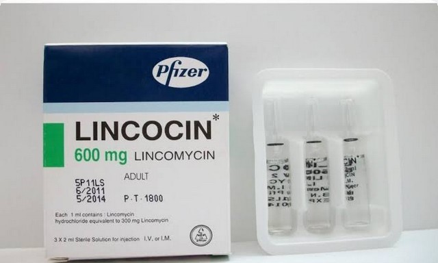 سعر ودواعى إستعمال حقن لينكوسين Lincocin مضاد حيوى