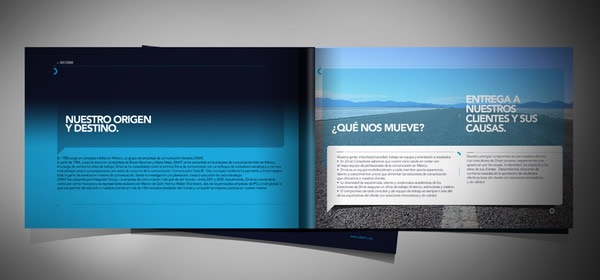 brochuire design examples for business consultants
