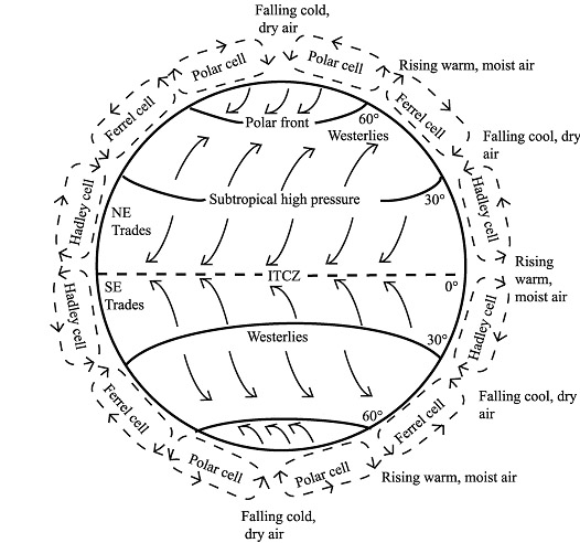 Belt Zone Circulation5