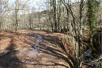 Pista al otro lado del Guztarriarana Pista al otro lado del Guztarriarana