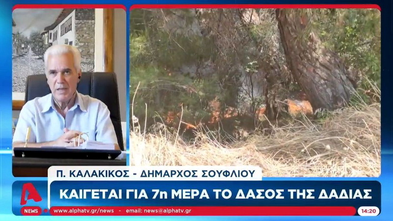 Απ. Δαβής: Ο Δήμαρχος Σουφλίου οφείλει να δώσει εξηγήσεις για τις καθυστερήσεις στη συντήρηση των δρόμων αντιπυρικής προστασίας