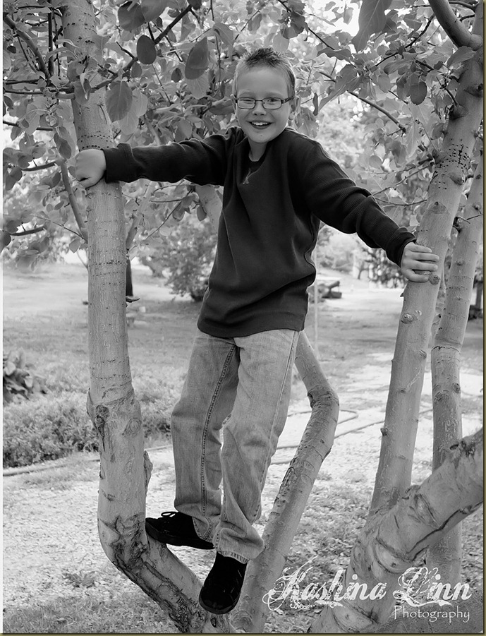 cute boy in a tree2