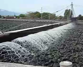 wastewater trickling filter system