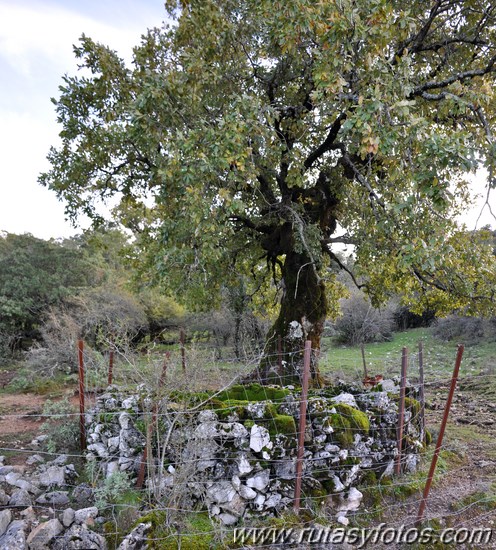 Subida al Pico de los Pinos