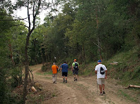 Anant per la pista de Roca-Sitjana