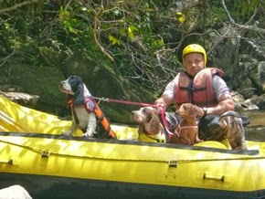 Pets adventure 17 (138)