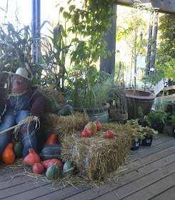 Fall-themed decor:  pumpkins, hay, corn-shock, scarecrows, at VanDusen Botanical Garden