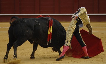 Imagen-1099-185-1