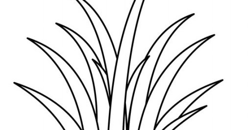  Gambar  Gambar  Kartun Rumput  Laut  Brad Erva Doce Info 