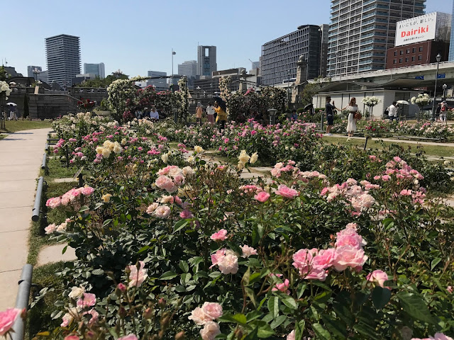 中之島公園, 大阪景點