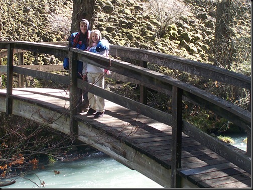 Burney Falls, )oct 2010 005