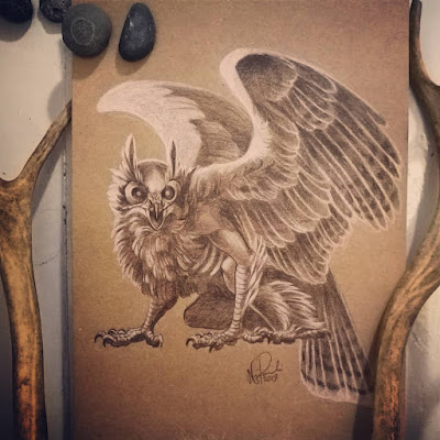 Owl