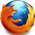 Free Download Mozilla Firefox 29.0.1 Final StandAlone Installer