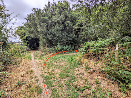 Turn right at the junction on Weston bridleway 36