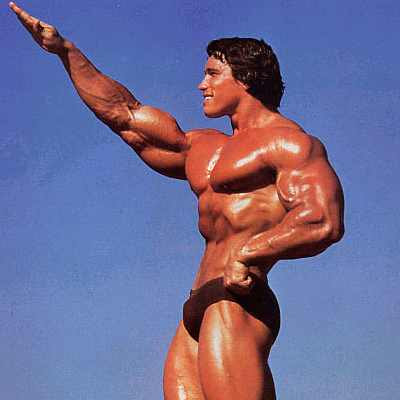 Arnold Schwarzenegger Workout Pics. schwarzenegger+workout