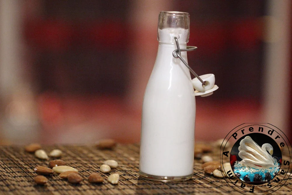 Lait d'amandes fait maison avec Magimix