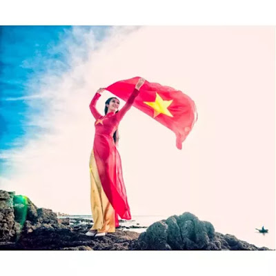  Drapeau Vietnam