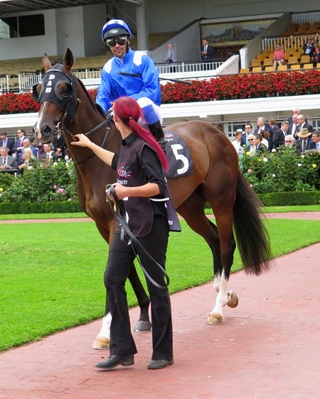 race 5_rawnaq 1