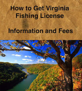 How to Get Virginia Fishing License & Fees