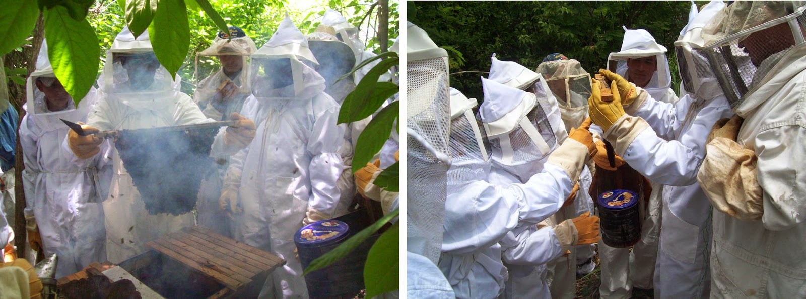 Musings on Beekeeping: Musings about Top Bar Hive ...