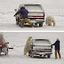 Jugando con el Oso